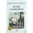 Peter Camenzind Can Yaynlar