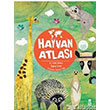 Hayvan Atlas Harita Hediyeli - Ciltli Taze Kitap