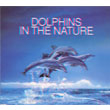 Dolphins In The Nature