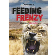 Lion Feeding Frenzy Aslanlar Arasnda