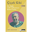 iek Gibi Arif Keskiner  Literatr Yaynclk