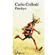 Pinokyo Carlo Callodi lgi Kltr Sanat Yaynlar