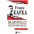 Blumfeld Gekin Bir Bekar Franz Kafka Pergole Yaynlar