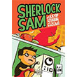Sherlock Sam ve Kayp Kitabn Gizemi Nemesis Kitap