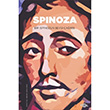 Spinoza Kenan Saraliolu Fol Kitap