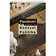 Pandemi ve Kentsel Politika izgi Kitabevi Yaynlar