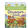 My Very First Dinosaurs Book Usborne Publishing