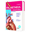 Prometheus Anatomi Atlas - Cilt 2 Palme Yaynevi