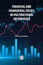 Financial and Managerial Issues in Multinational Enterprises Gazi Kitabevi