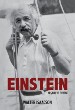 Einstein Yaam ve Evreni Delidolu Kitap