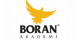 Boran Akademi Yaynclk