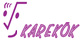Karekk Yaynclk