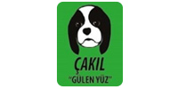 �ak�l Yay�nlar�