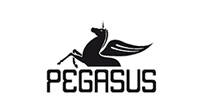 Pegasus Yay�nlar�