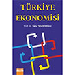 Trkiye Ekonomisi Detay Yaynlar