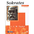 Dncenin Ustalar Sokrates Altn Kitaplar