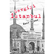 Sevgiyi İstanbul Çatı Kitapları