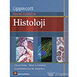 Lippincott Resimli Aklamal Histoloji stanbul Tp Kitabevi