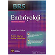 BRS Embriyoloji stanbul Tp Kitabevi