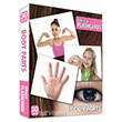 Miracle Flashcards Body Parts 30 Cards Mk Publications