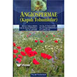 Angiospermae - Kapal Tohumlular Palme Yaynevi