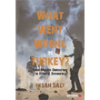 What Went Wrong in Turkey? Phoenix Yaynevi