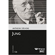Jung Dost Kitabevi Yaynlar