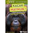 Kaçak Maymun National Geographic Kids