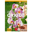 Orkide Nail Kitabevi
