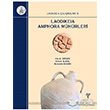 Laodikeia Amphora Mhrleri Ege Yaynlar