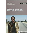 David Lynch Kalkedon Yaynclk