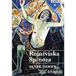 Rojniviska Spinoza Lis Basın Yayın