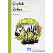 Çıplak Zebra Kök Yayınevi