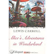 Alices Adventures n Wonderland Dejavu Publishing