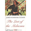 The Last Of The Mohicans Dejavu Publishing