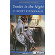 Tender Is The Night Wordsworth Classics