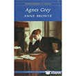 Agnes Grey Wordsworth Classics