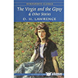 The Virgin and the Gipsy and Other Stories Wordsworth Classics