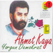 Yorgun Demokrat Ahmet Kaya