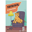 Sherlock Bir Aslann Gnl izmeli Kedi Yaynlar