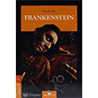 Stage 4 B1 Frankenstein MK Publications