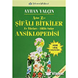 A`dan Z`ye Şifalı Bitkiler Ansiklopedisi Türkmen Kitabevi