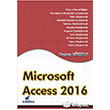 Microsoft Access 2016 Nirvana Yaynlar