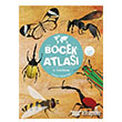 Böcek Atlası Taze Kitap
