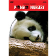 Panda Nursery Panda Yuvas