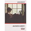 Agnes Grey Dejavu Publishing