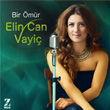 Bir mr Elin Can Vayi
