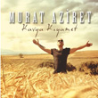 Kavga Kyamet Murat Aziret