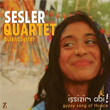 sizim Abi Sesler Quartet Blent Sesler