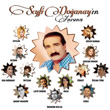 Seyfi Doanay`n Ansna